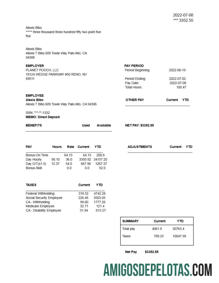 Realista Modelo de declaração de lucros da PLANET POOCH, LLC em formatos Word e PDF.pdf, 1